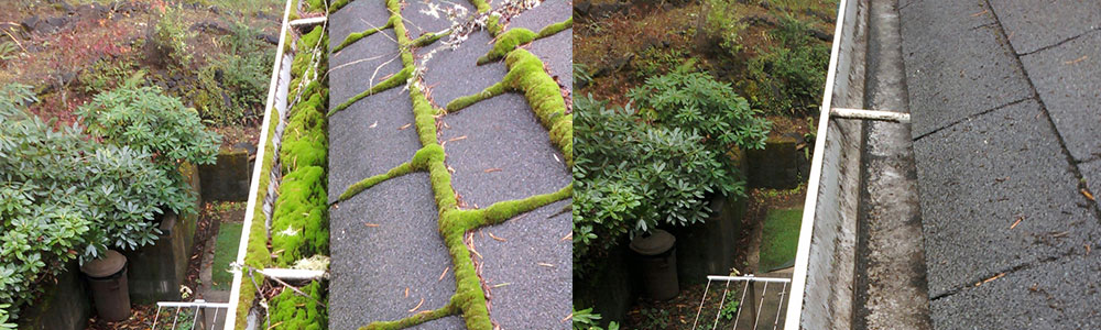 Gutter-Cleaning-Service
